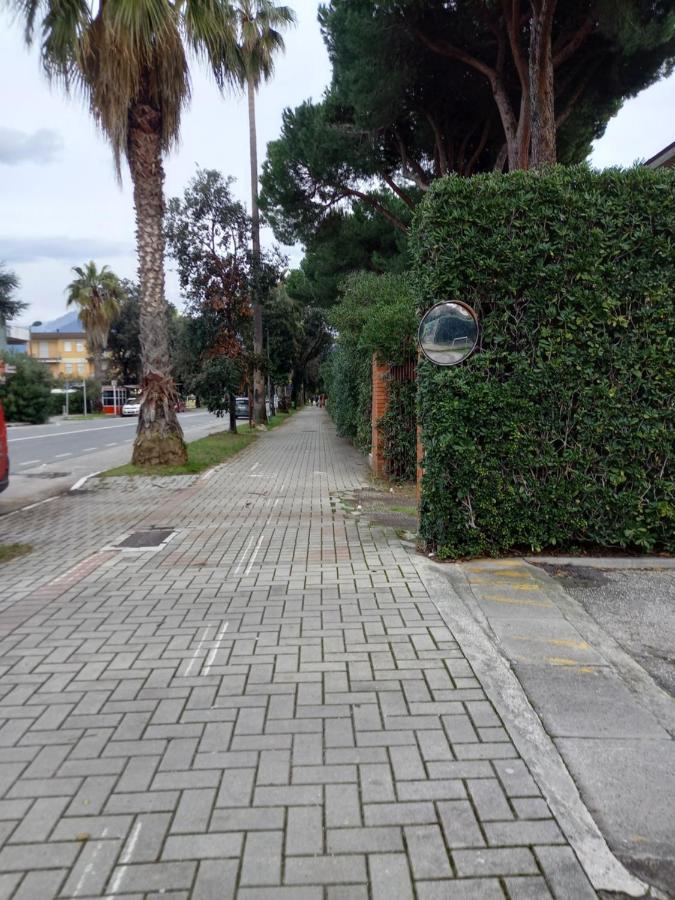 Bilocale Climatizzato A 850M Dalla Spiaggia Casa Katia Marina di Massa Buitenkant foto