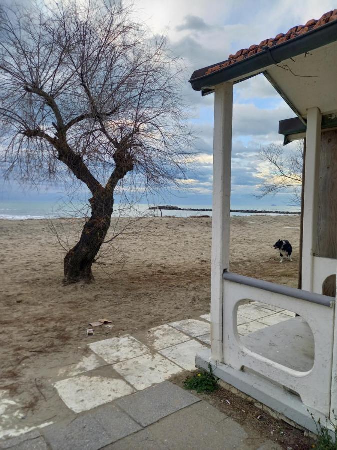 Bilocale Climatizzato A 850M Dalla Spiaggia Casa Katia Marina di Massa Buitenkant foto